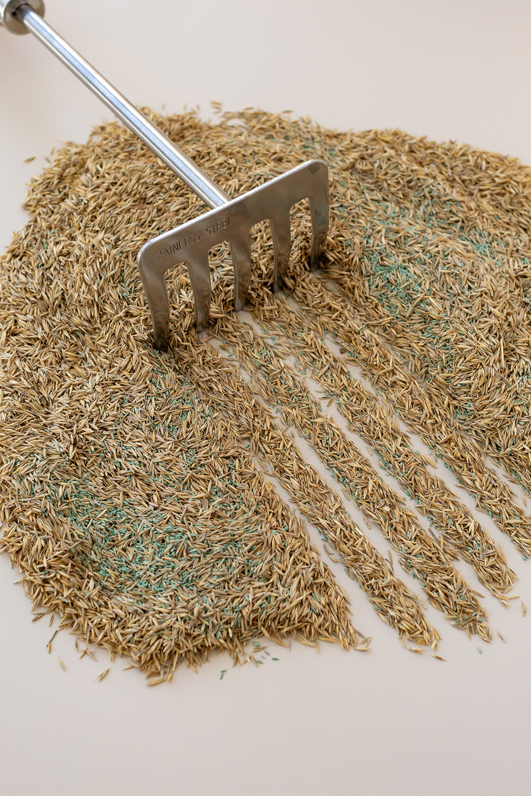 Graszaden