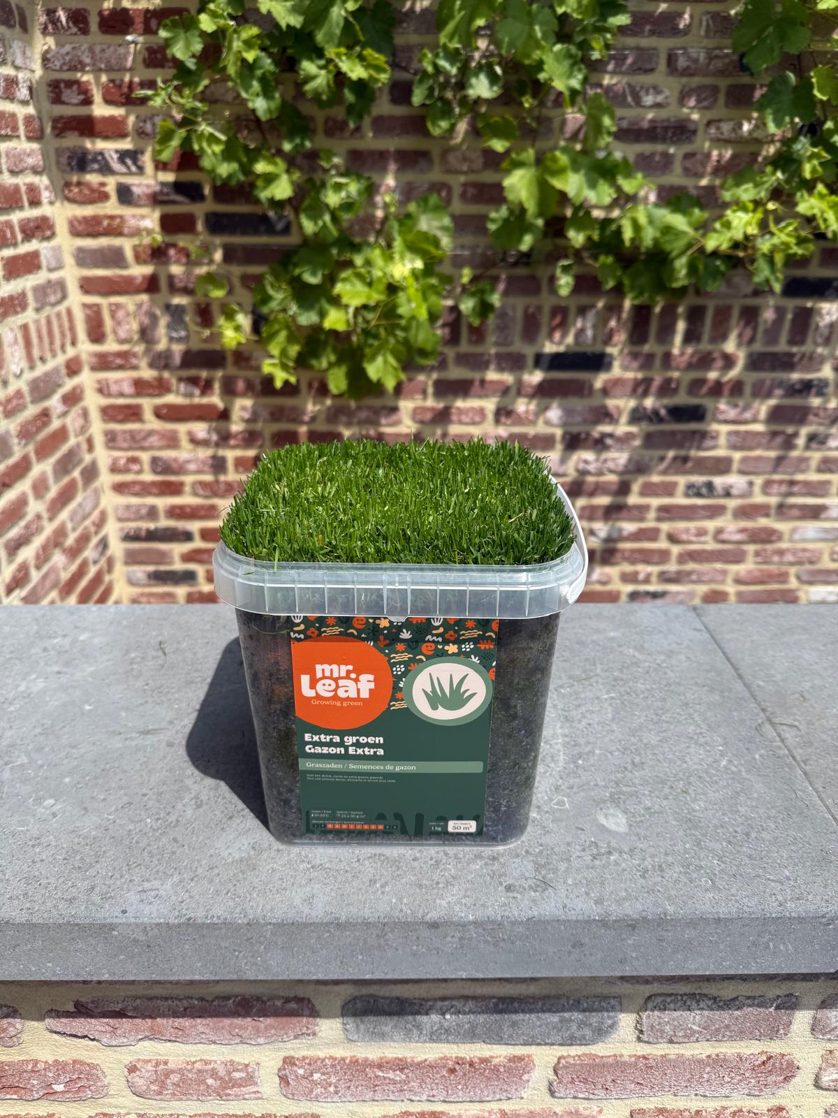 Graszaad test extra groen