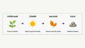 Gazon jaarplan met voorjaar zomer najaar en kalk