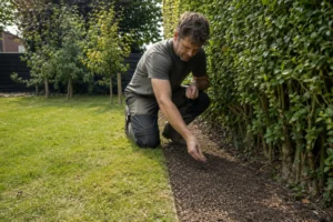 Kleine proefstrook met graszaad inzaaien naast een haag