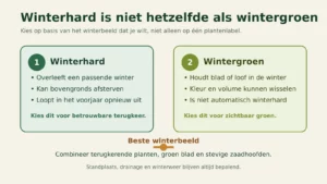 Schema met het verschil tussen winterhard en wintergroen