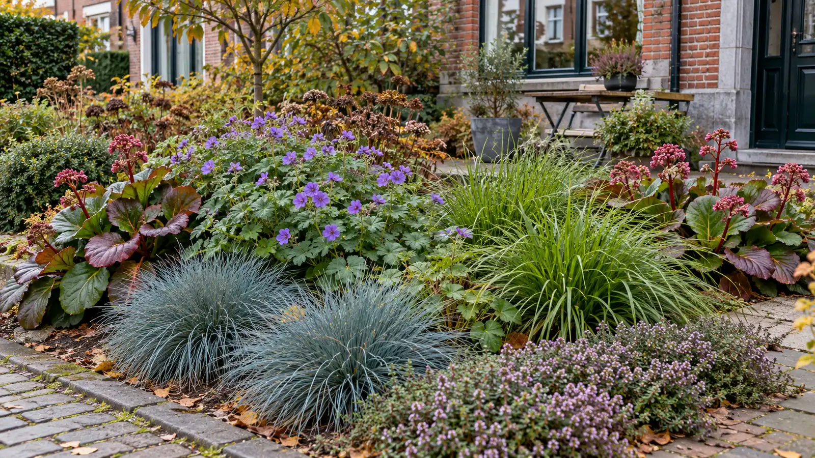 Volgroeid borderpakket met herkenbare plantengroepen in een Belgische tuin