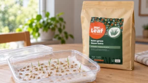 Graszaad en jonge kiemplantjes op vochtig papier naast een Mr Leaf Extra Groen-zak